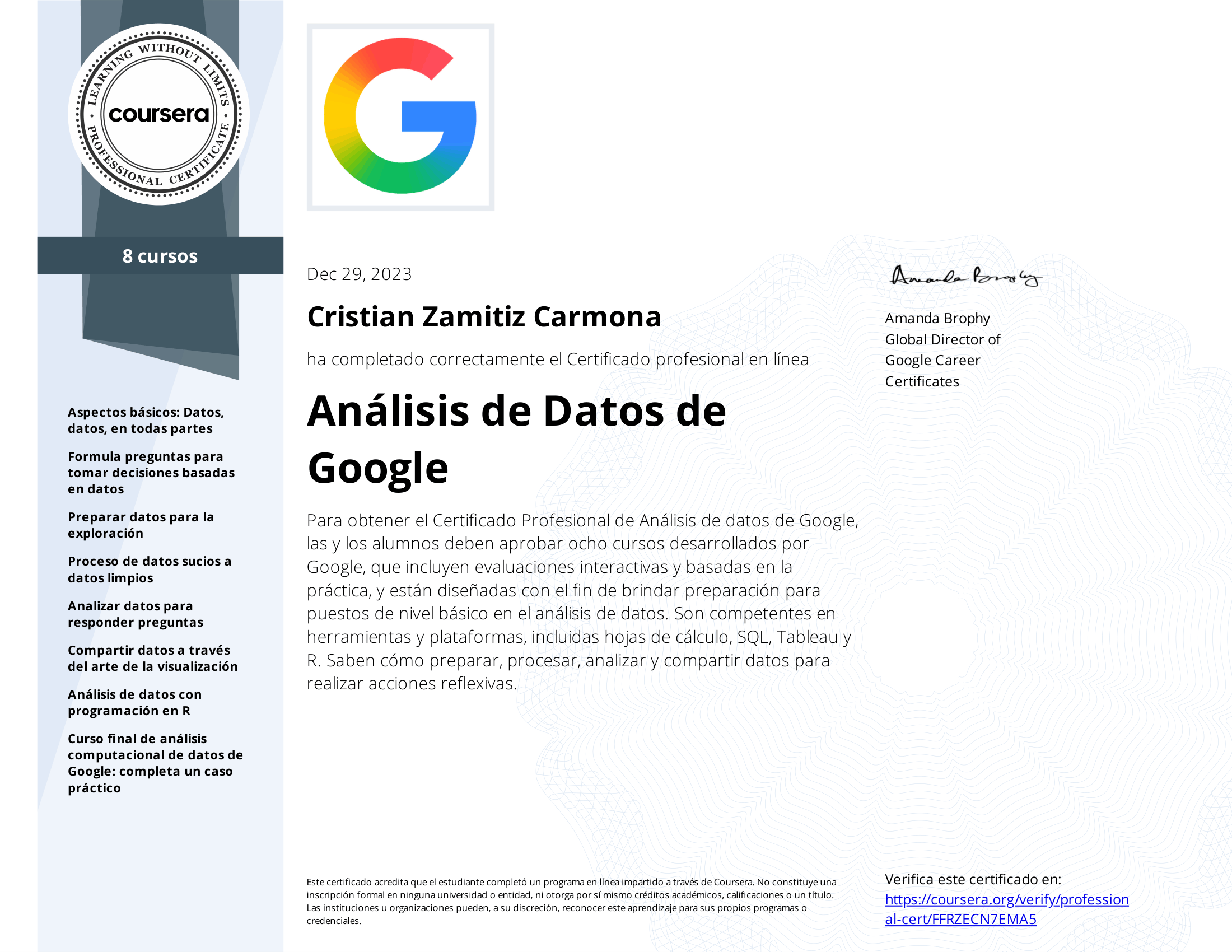 Google Data Analytics Professional Certificate